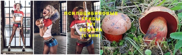 скорость Лагань