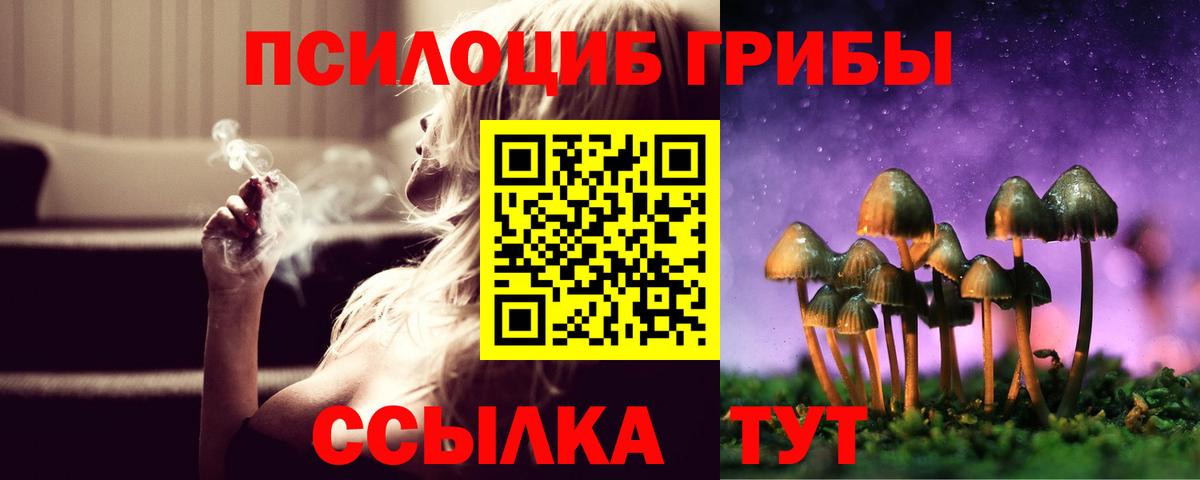Псилоцибиновые грибы Cubensis  Вход с VPN  Псилоцибиновые грибы мухоморы  Саратов 